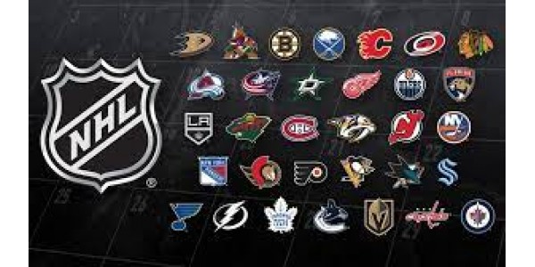les jeux de hockey sur glace peuvent se battre les jeux de hockey sur glace peuvent se battre